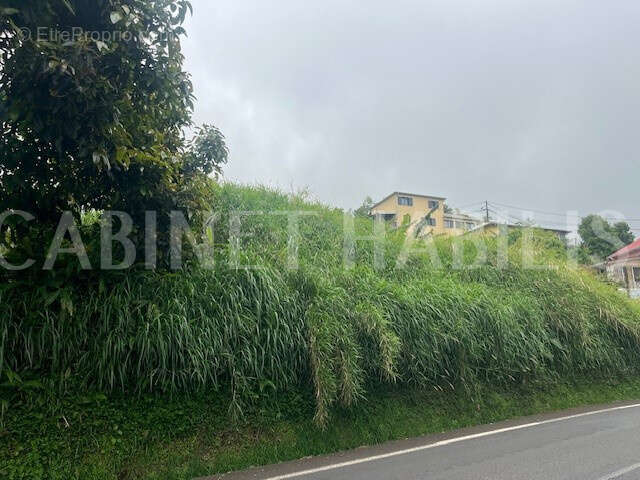 Terrain à LES AVIRONS