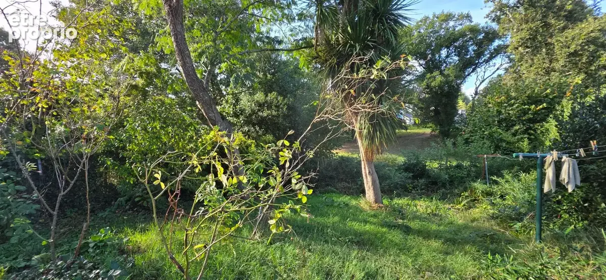 la maison en rez-de-jardin - photo 1