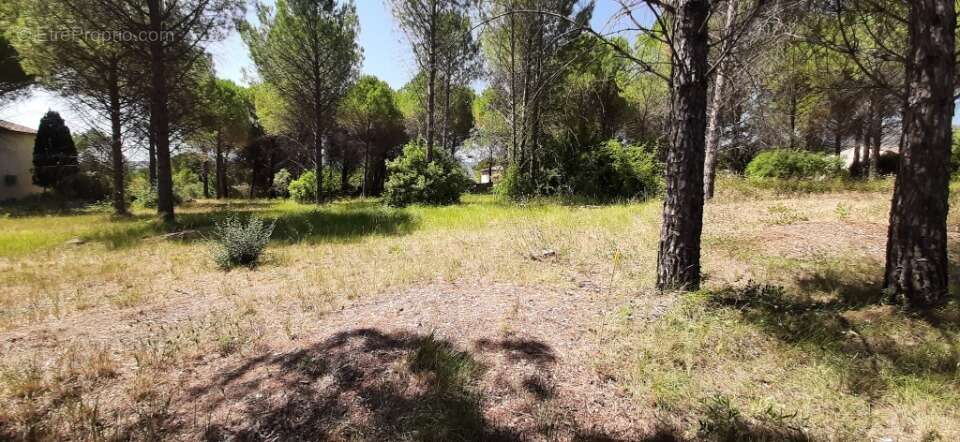 Terrain 500 m² à Roquebrune-Sur-Argens  - photo 2