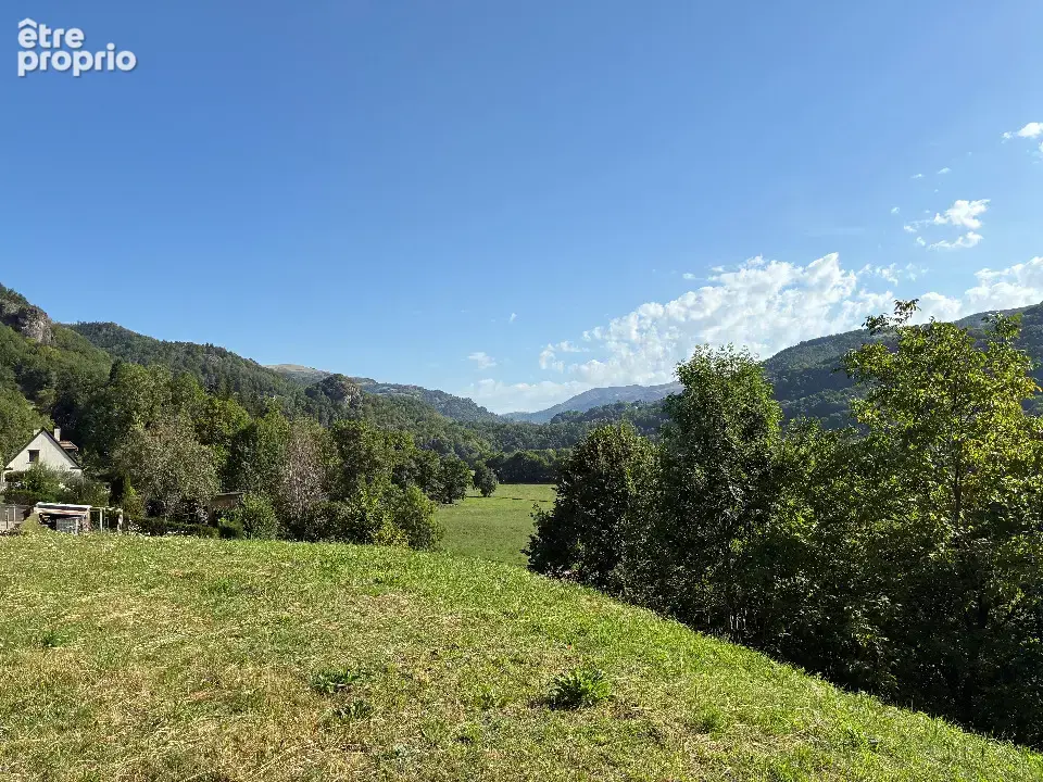 Terrain 2 500 m² à vendre à Vic-Sur-Cere (15800) - photo 3