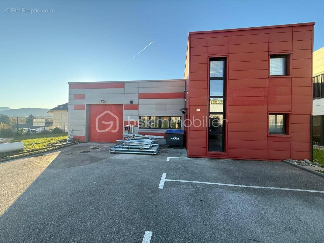 Commerce à SAINT-FELIX