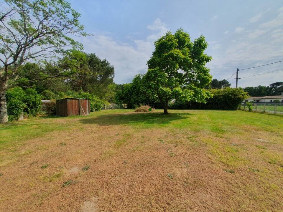 Terrain à SAINT-YZAN-DE-SOUDIAC