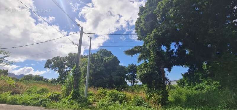 Terrain à SAINT-CLAUDE