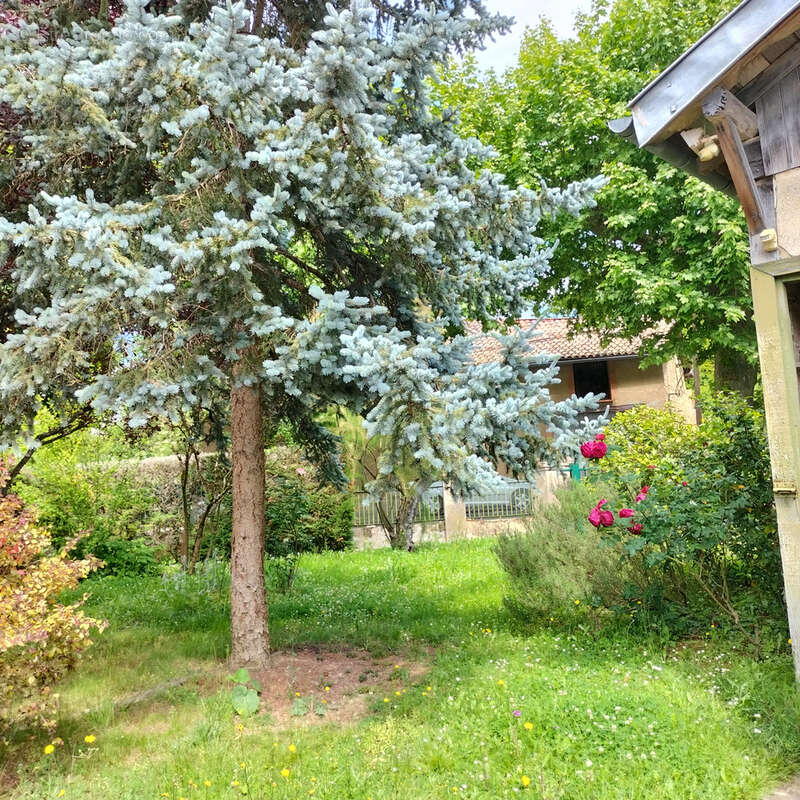 maison de village avec jardin et garage - photo 30