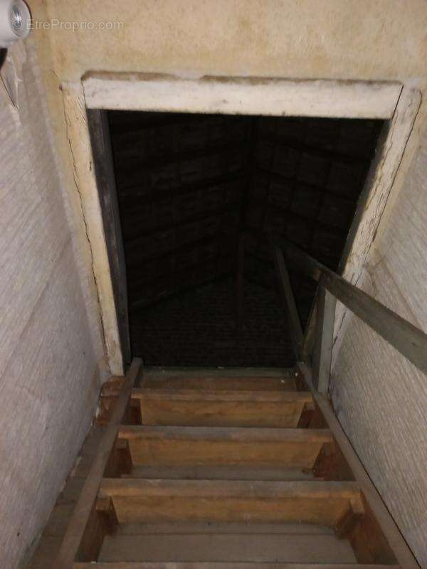 WINGLES 29 rue Georges  Bizet - photo 10