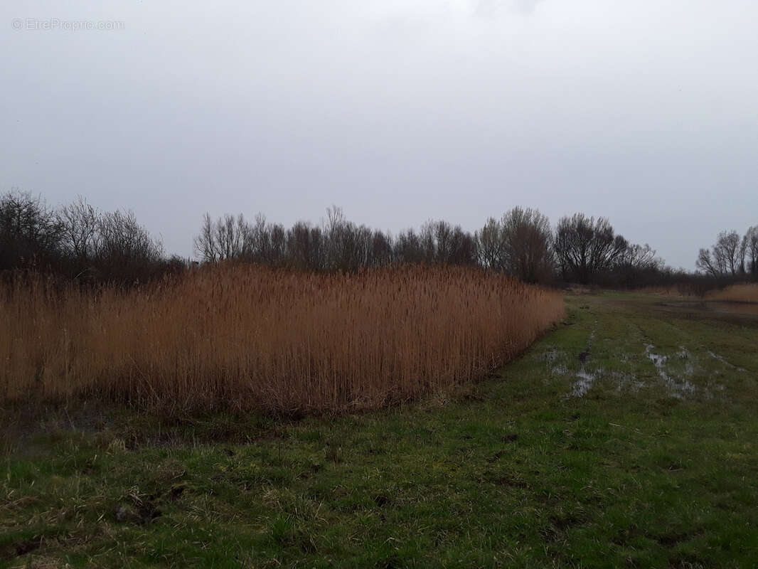 Terrain à SAINT-QUENTIN-EN-TOURMONT