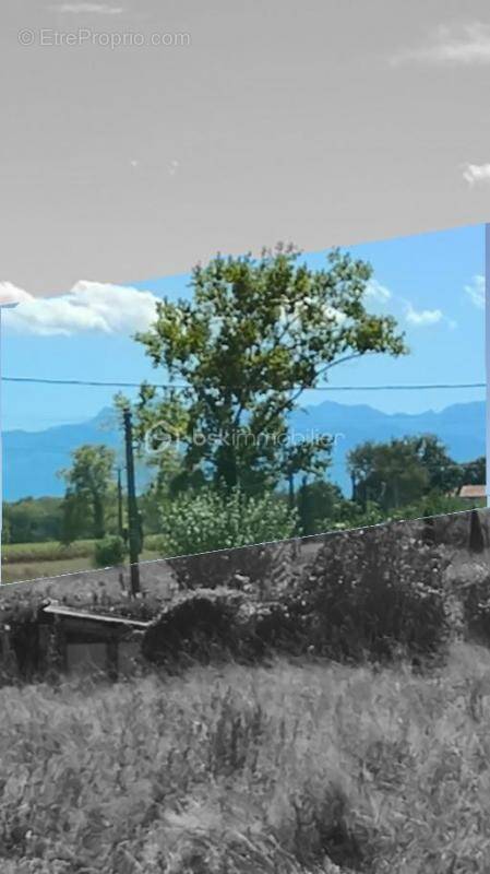 Terrain à TRIE-SUR-BAISE