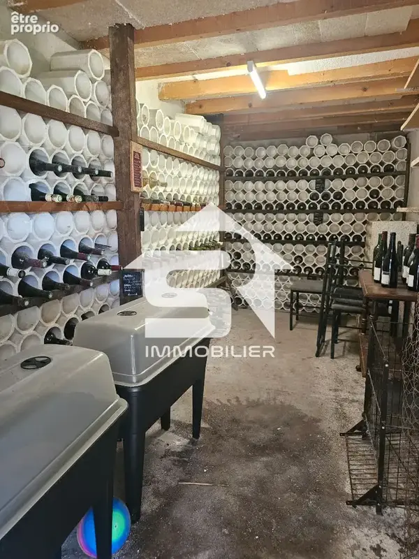 Noé (89) / Maison 233 m² - photo 9