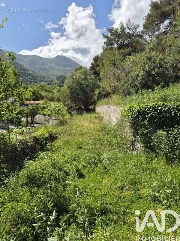 Photo 2 - Terrain à GORBIO