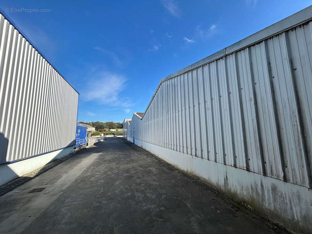 Commerce à DOUARNENEZ