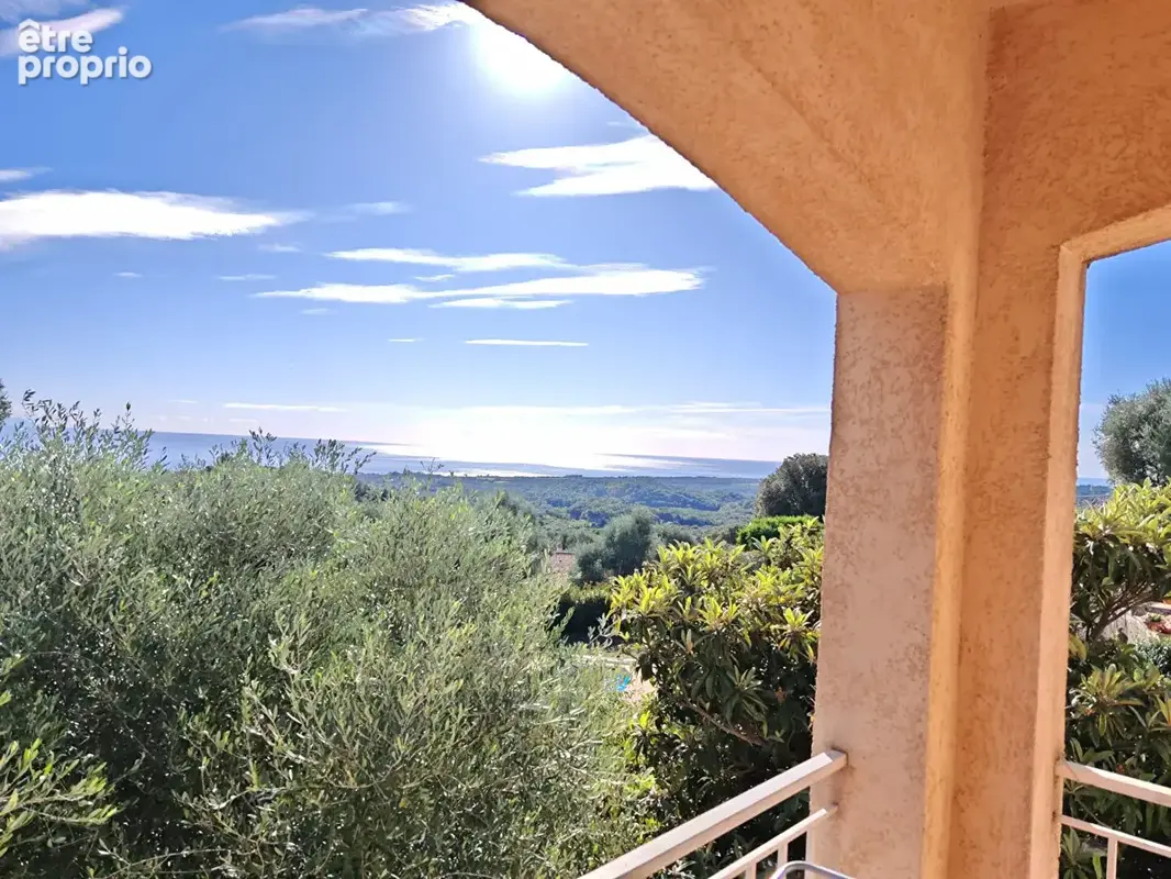 Photo Maison à Cervione au prix de 449 000€