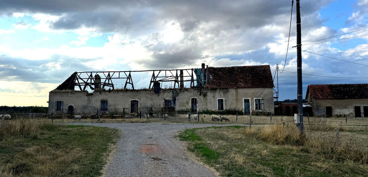 Exploitation agricole d’élevage   108 hectares dans le Boischaut Sud (Indre) - photo 8
