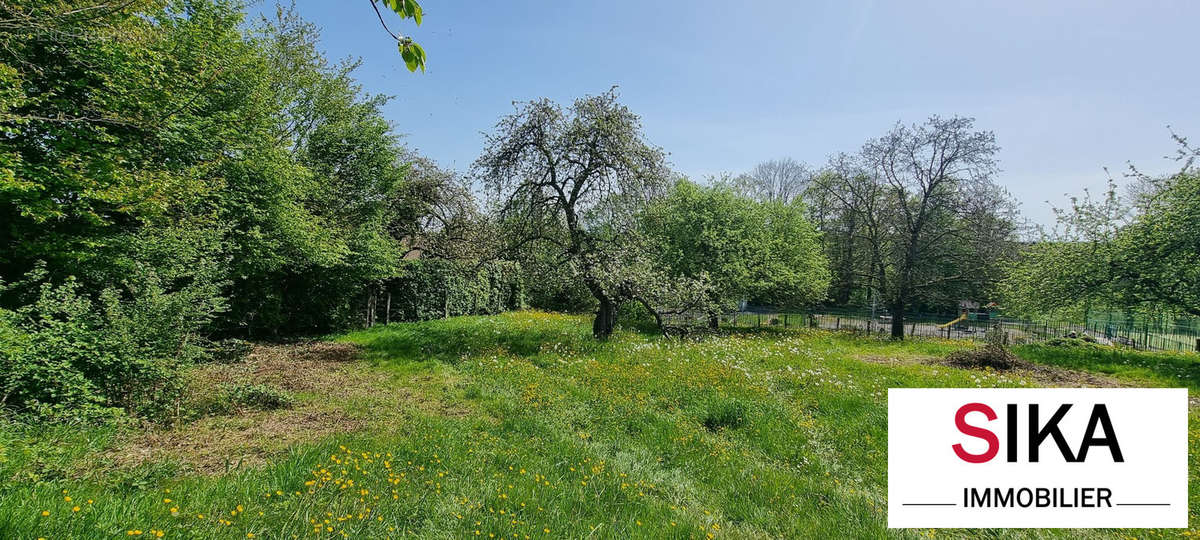 Terrain à SAINT-JEAN-KOURTZERODE