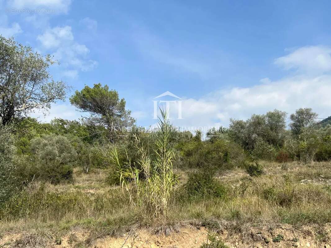 Terrain à L'ESCARENE