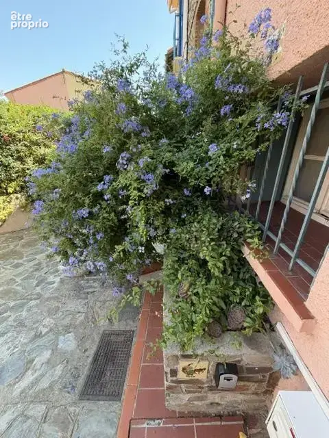 Maison de pêcheur à vendre dans le vieux Collioure - photo 19