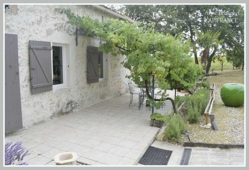 Entre Lectoure et Astaffort- Maison en pierre 5 pièces-127m2-  terrain 1526m2 - photo 5