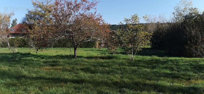 Maison à EQUEVILLON