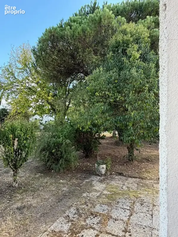 Plaisance (32) et maubourguet (65) proche: au calme, belle propriete rurale de 180m2 sur un terrain arboré 1.7 hectare, sans tra - photo 35