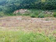 Terrain à GRAINVILLE-LA-TEINTURIERE