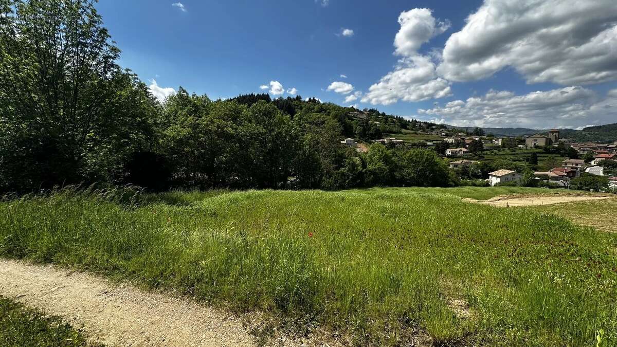 Terrain à DESAIGNES