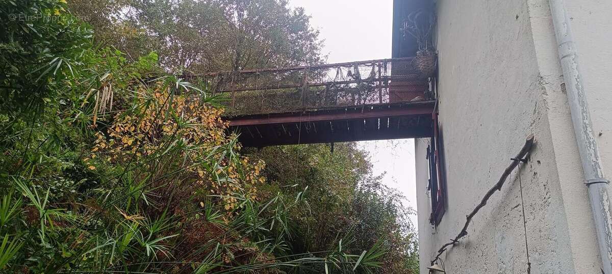 Photo 3 - Maison à ESPELETTE