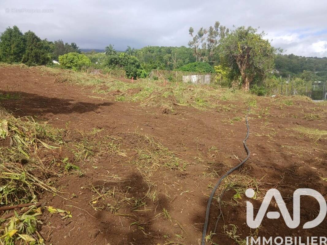 Photo 1 - Terrain à SAINT-PAUL