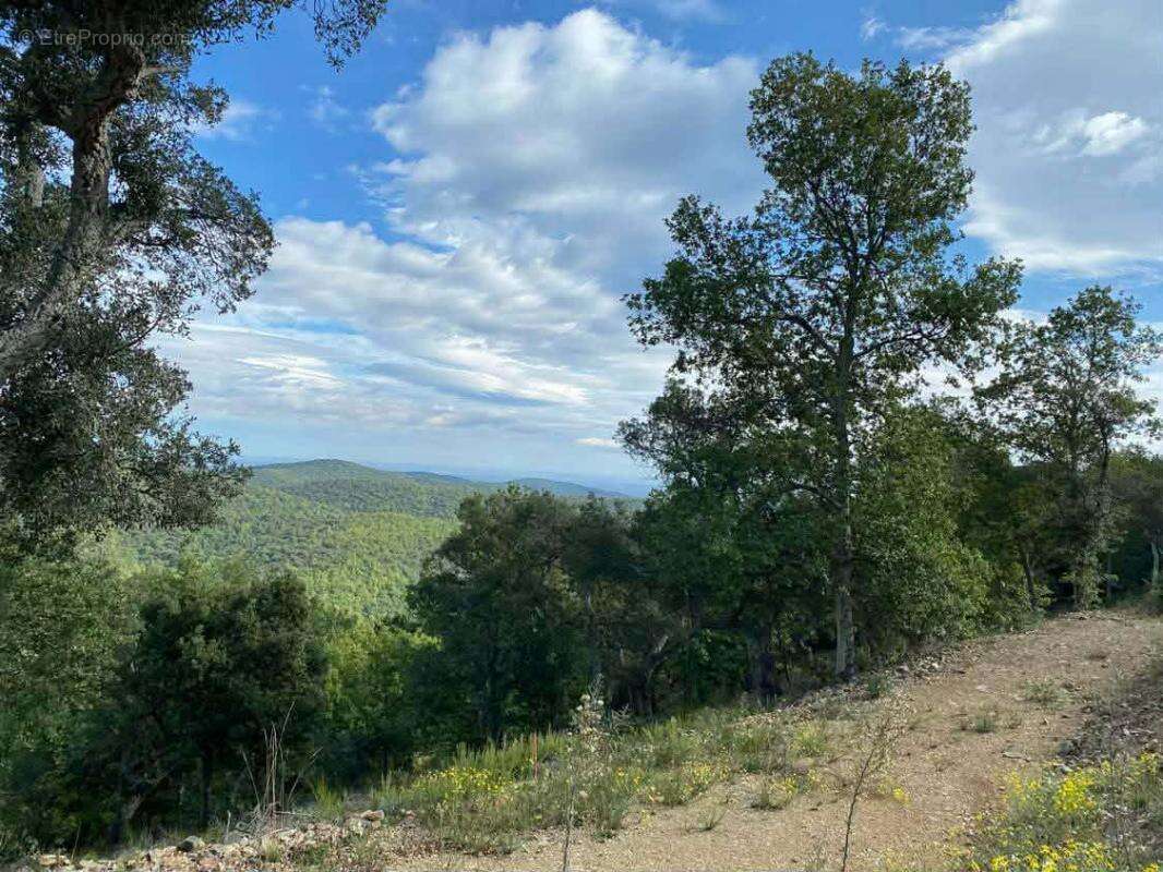 Incroyable Terrain constructible de 1147 m² en pente avec vue incroyable dans un petit village proche de Ceret - photo 13