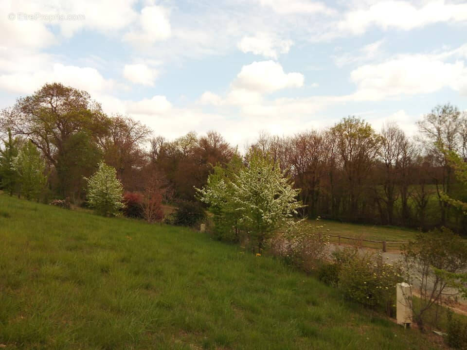 Terrain à CERAN