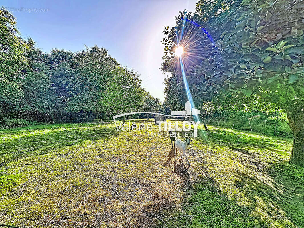 Maison familiale de 142 m² sur 4 200m² de terrain à Pont-Réan, au coeur d'un environnement naturel exceptionnel - photo 11