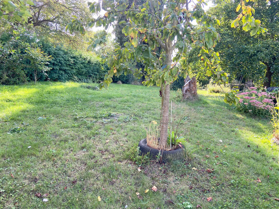 Maison à VIEUX-RENG