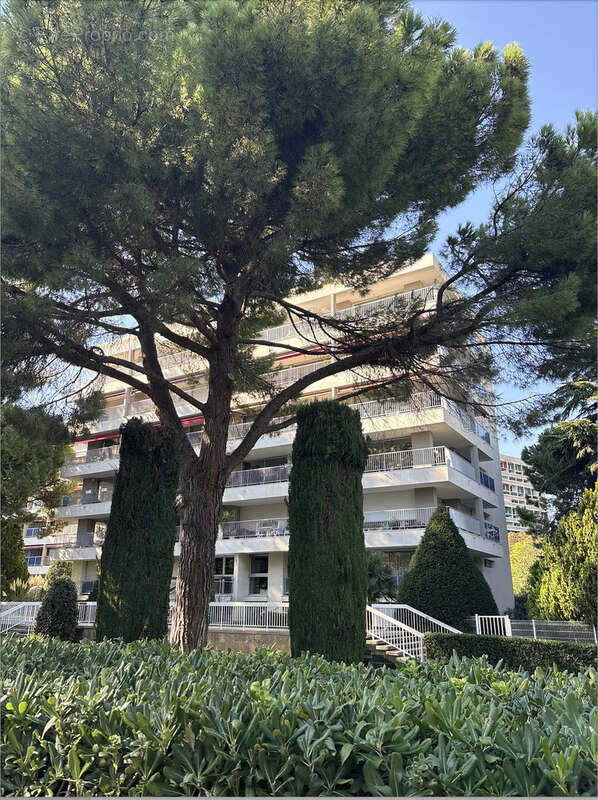 Appartement à MARSEILLE-8E