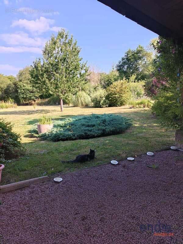 Maison à BUXIERES-LES-MINES