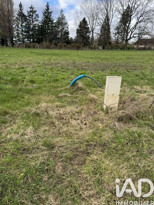 Photo 2 - Terrain à CHAOURCE