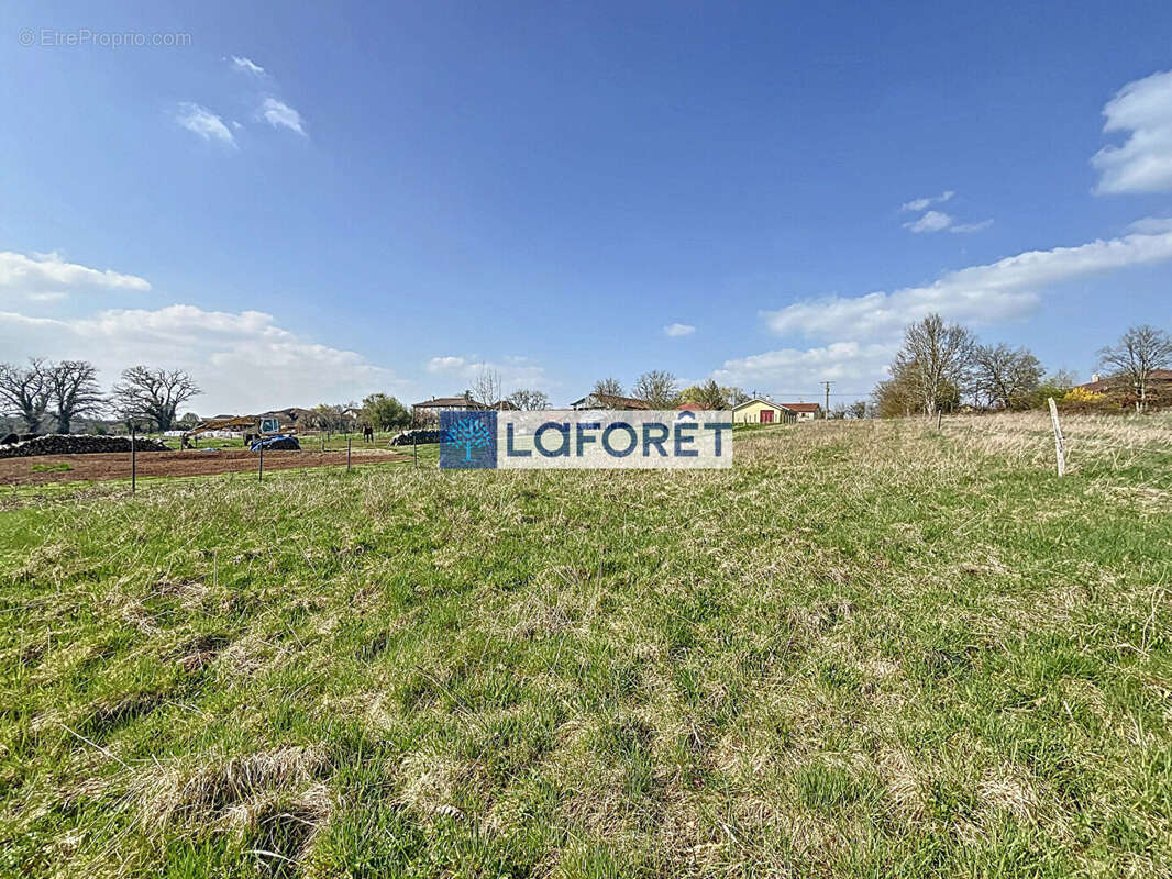 Terrain à VOILLECOMTE