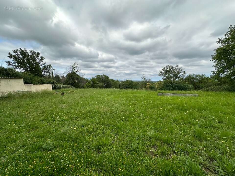 Terrain à ROQUEBRUNE-SUR-ARGENS