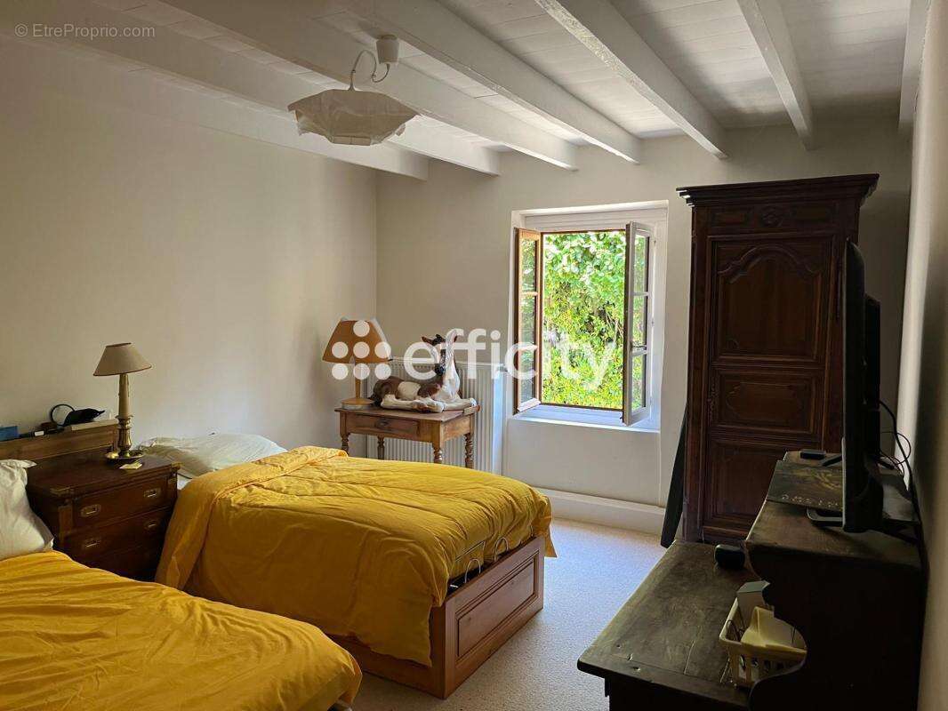 Maison 257 m² à Vernioz  - photo 15