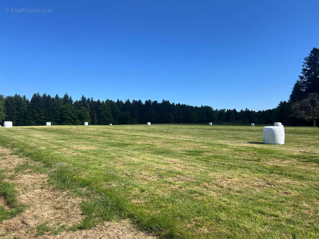 Maison à LE VAL-D'AJOL