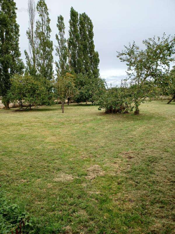 Maison à LA BARRE-EN-OUCHE