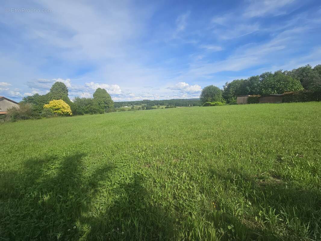 Terrain 3527 m² à Linards  - photo 13