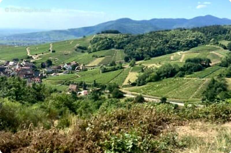 Appartement à COLMAR