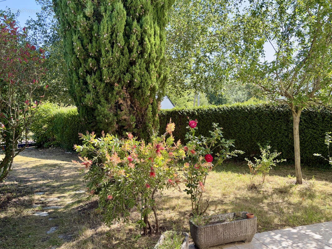 Maison à PENESTIN