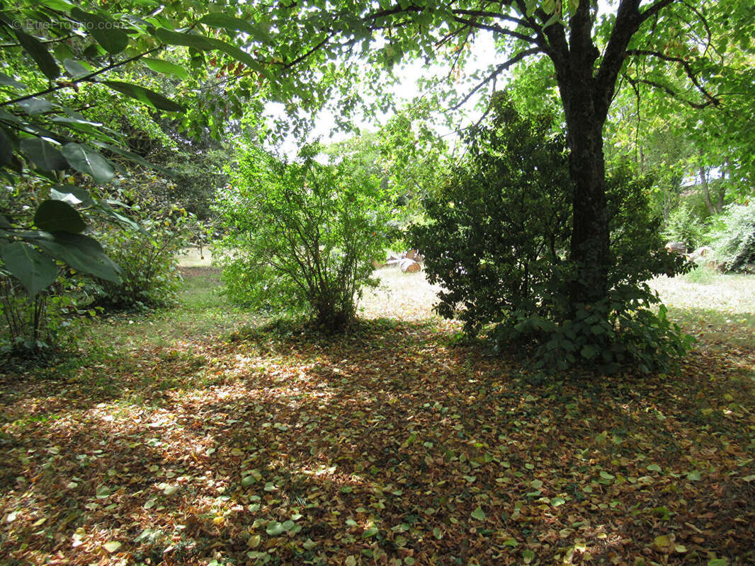 Terrain à NIEUL-SUR-MER