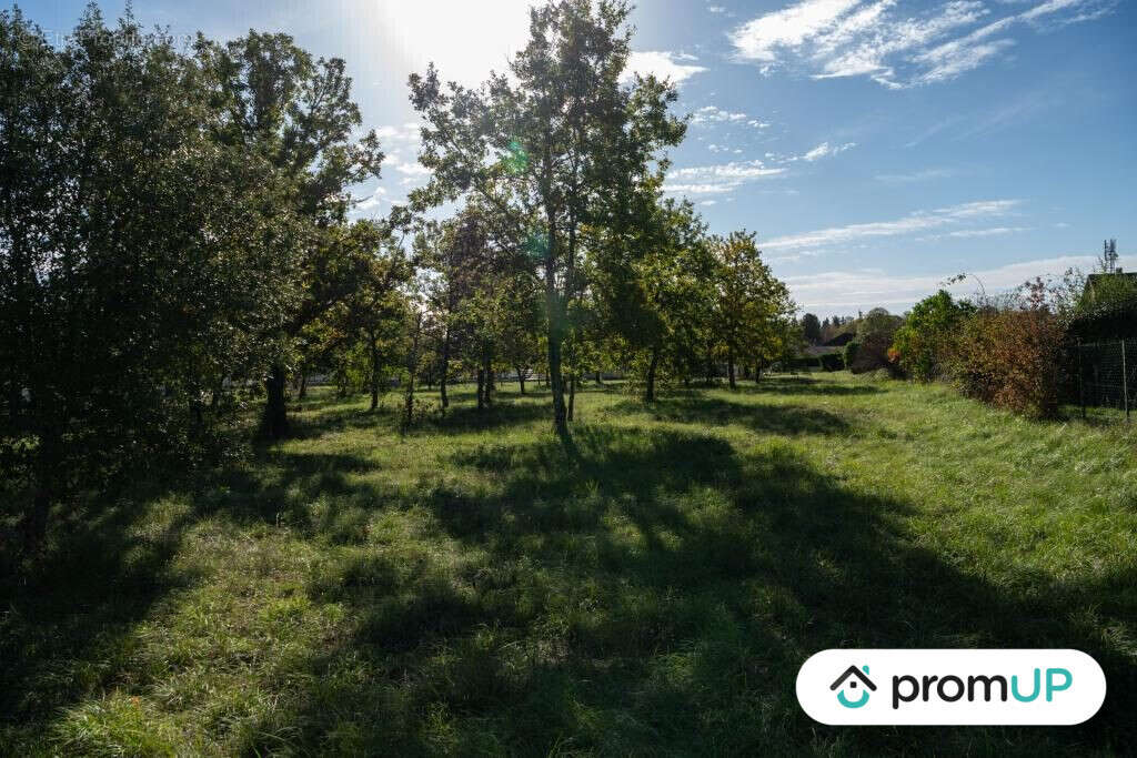 Terrain à LALBENQUE