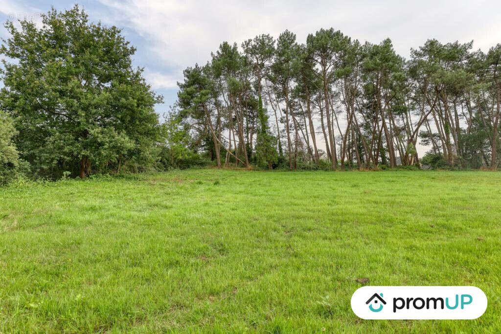 Terrain à SAINT-MARS-LA-BRIERE