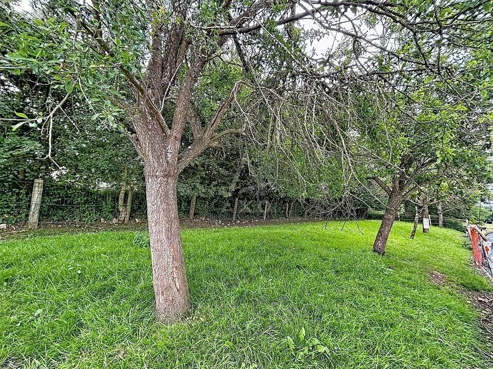 Bergerie avec terres agricoles à proximité immédiate de NOGENT LE ROTROU - photo 11