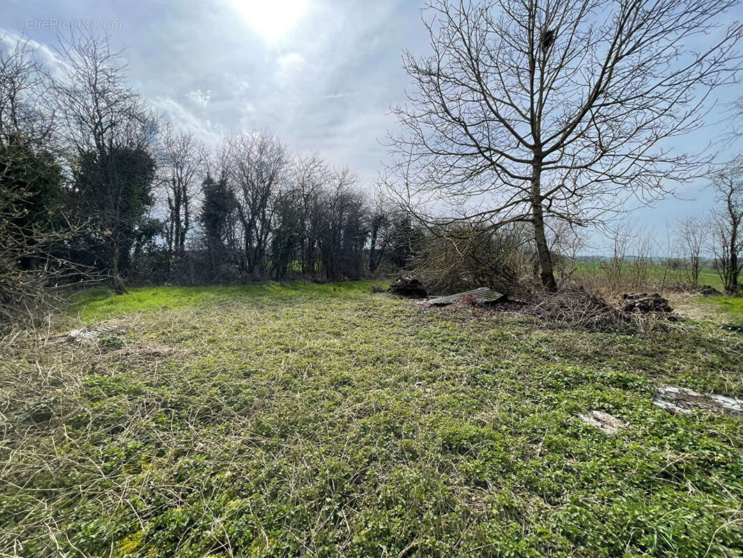 Terrain à LA FERTE-GAUCHER