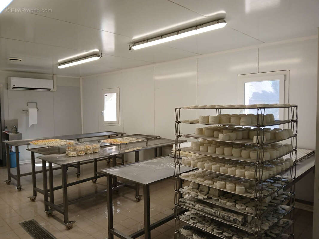 Exploitation caprine avec transformation fromagère, vente directe et maison d'habitation   19,33 ha   Indre - photo 11
