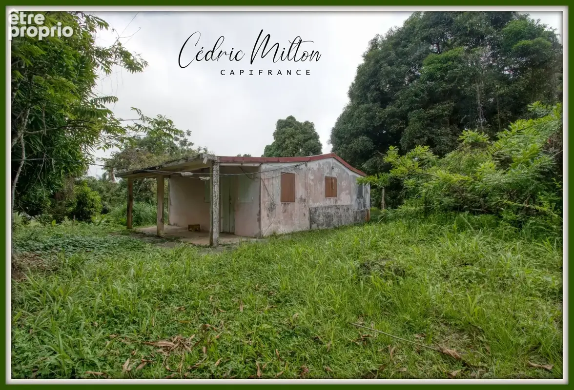 Terrain plat de 1300 m² – au Gros-Morne - photo 6