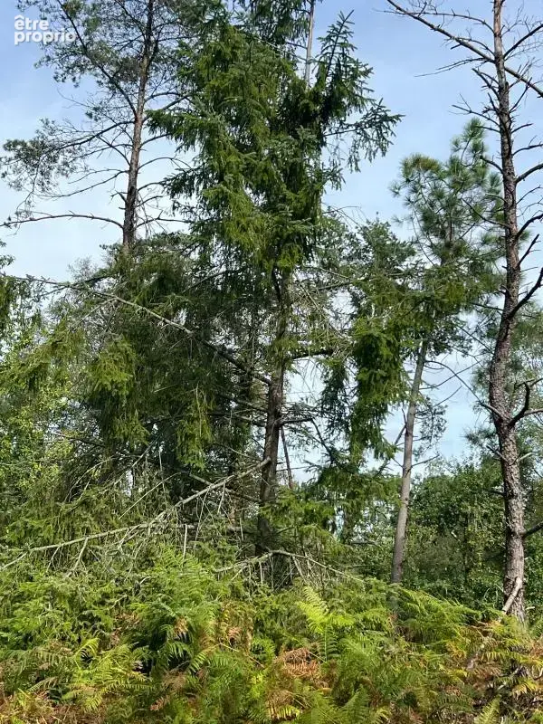 À vendre – argol – finistère – presqu’île de crozon-exceptionnel terrain de loisirs de 40 000 m² - photo 38