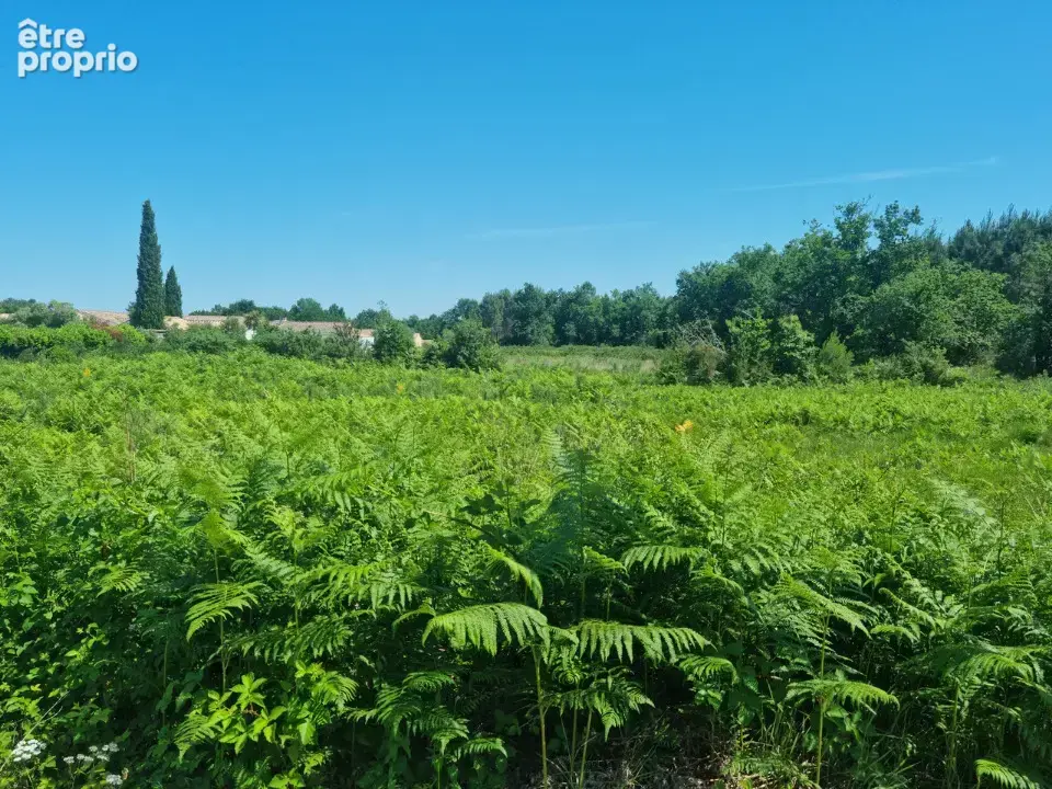 Terrain 762 m² à vendre à Carcans (33121) - photo 2